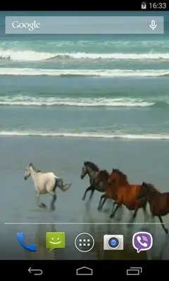 Amazing horses android App screenshot 0