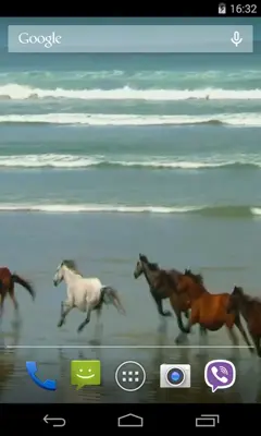 Amazing horses android App screenshot 1