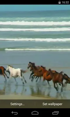 Amazing horses android App screenshot 2